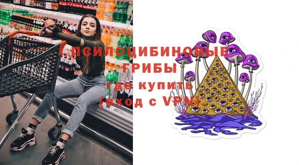 ПСИЛОЦИБИНОВЫЕ ГРИБЫ Лабытнанги